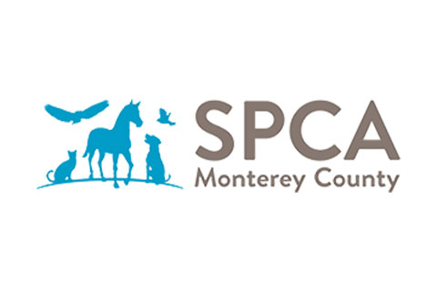 SPCA: Customer since 1995